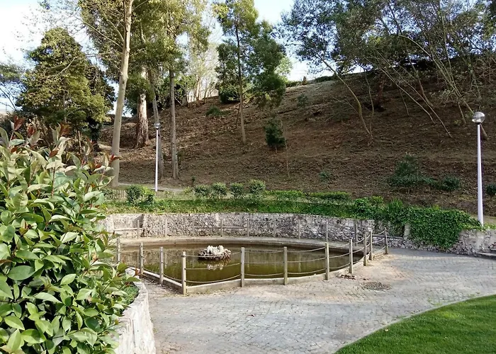 Seethesea نازاريه